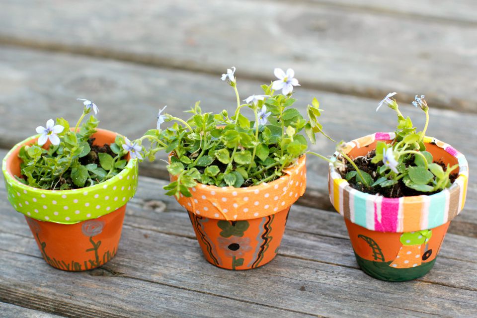 Tiny Flowering Pots 