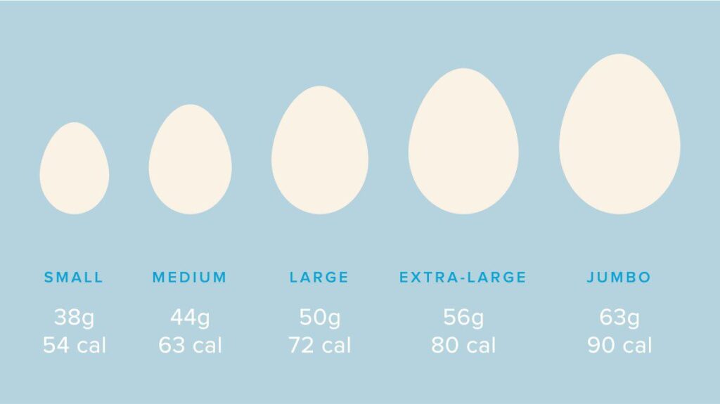 calories in egg