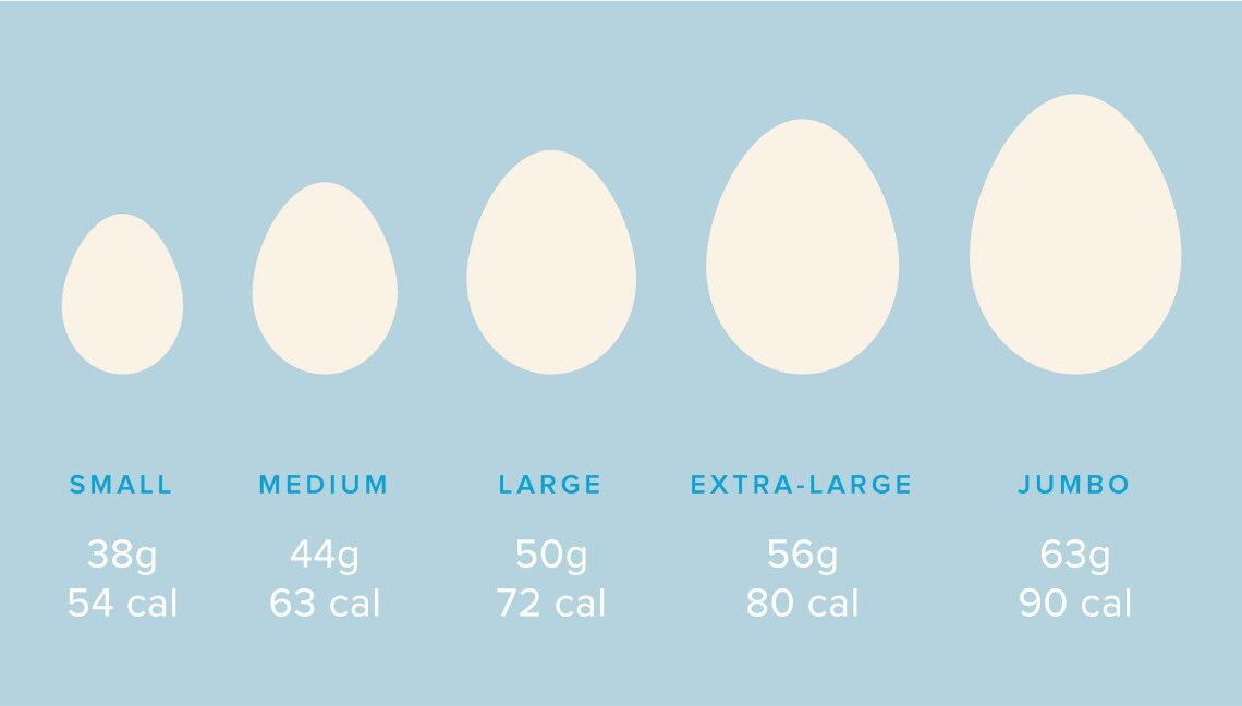 How Many Calories in Egg Yolk | Calories in an Egg: Whites Vs. Yolks