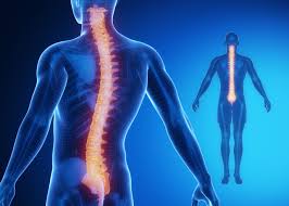 Spine Surgery in India