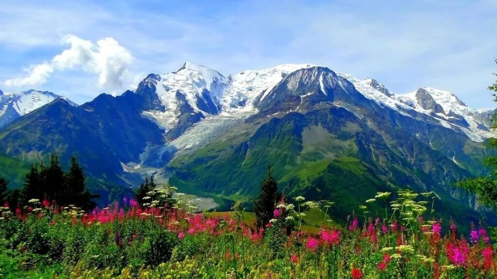 Valley of Flowers