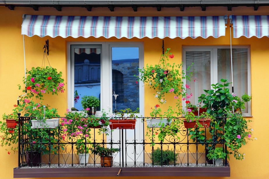 balcony gardening