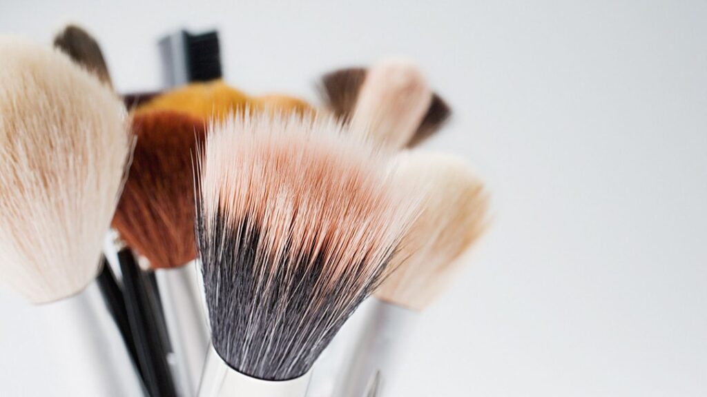 Makeup Brush