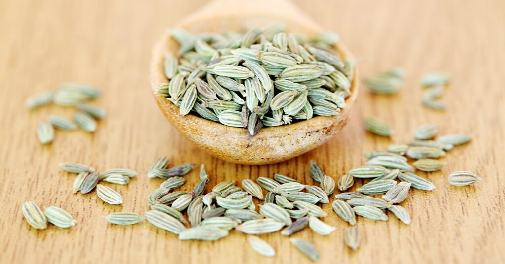 Fennel Seeds