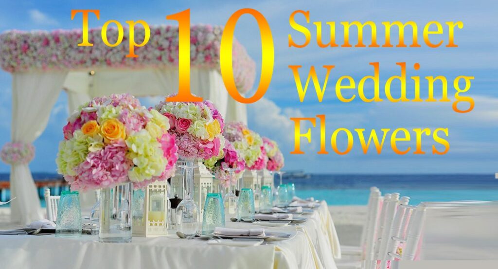 Summer Wedding Planning