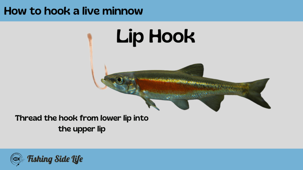 Lip Hook method