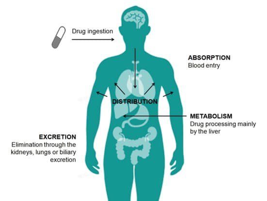 Pharmacokinetics