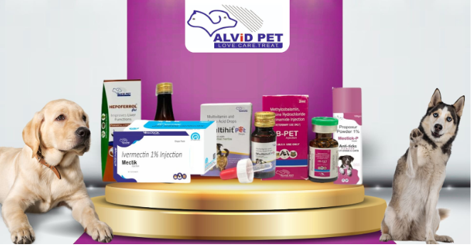 Essential Guide to Online Veterinary Medicine Selection